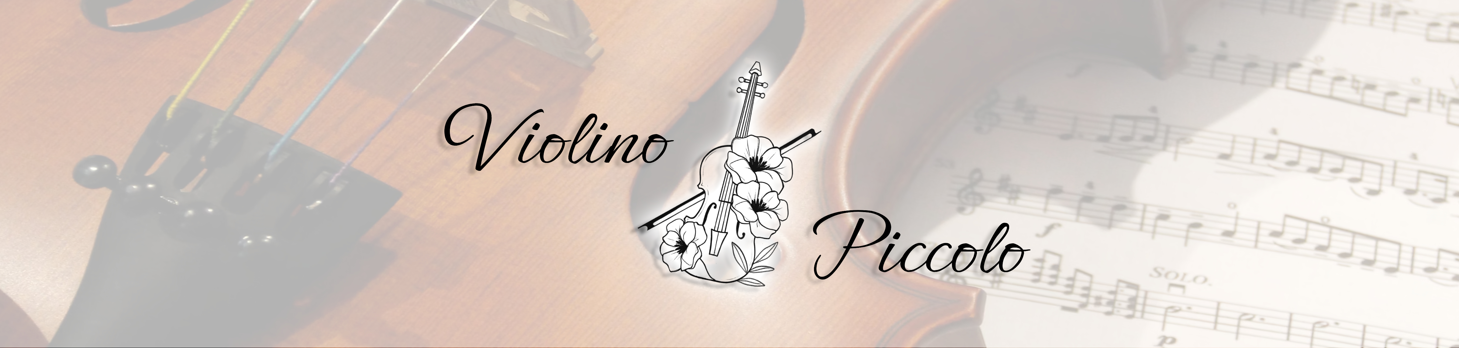 Bannière Violino Piccolo